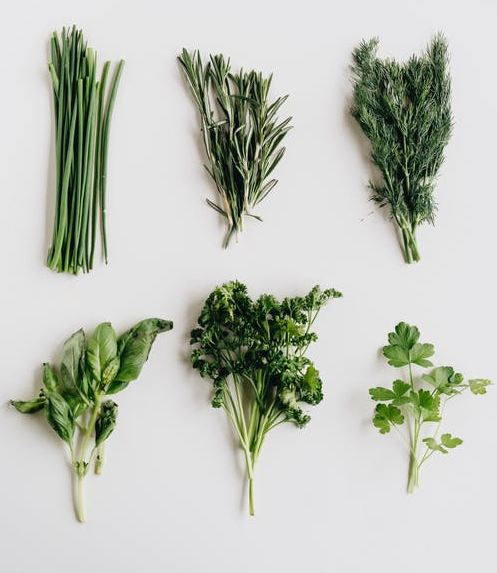 different types of herbs assorted on a shelf