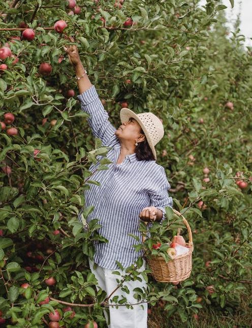 Choose At The Right Time