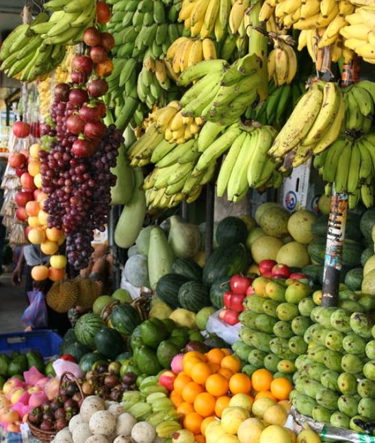 Fruit Summer Harvesting