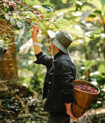 Pick Up In The Morning