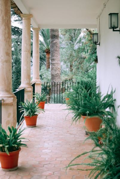 a terrace with columns and assorted potted exotic plants