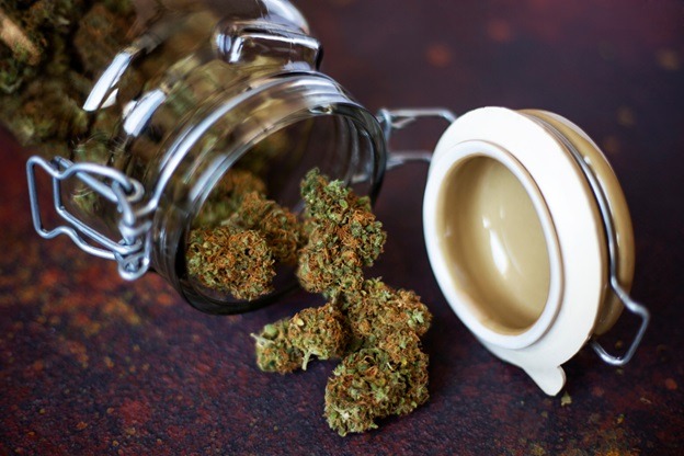 How to choose the right CBD flower for you