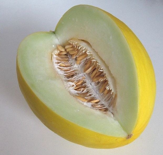 Honeydew Melon Granita