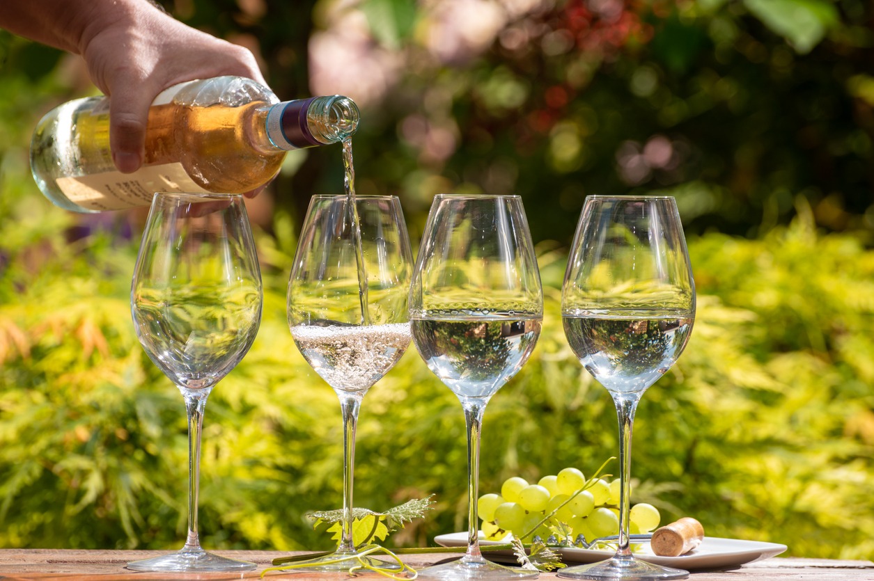 White and rose wine tasting on winery, pouring of cold dry wine in glasses outdoor in sunny day