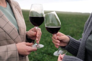 Two people holding glasses with alcohol drink red wine