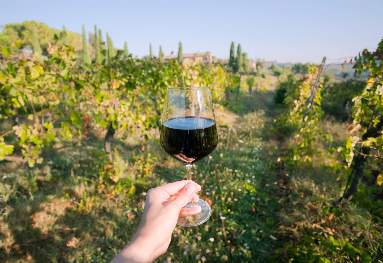 Wine glass in a hand and natural landscape with grapevine of Tuscany