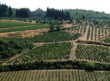 Tuscany Is Well Known For Its Excellent Wines