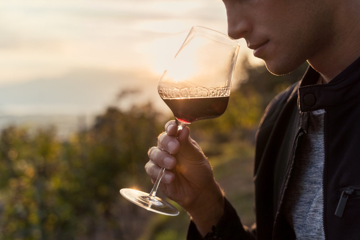 Close up of a young man tasting red wine in a vineyard during sunset