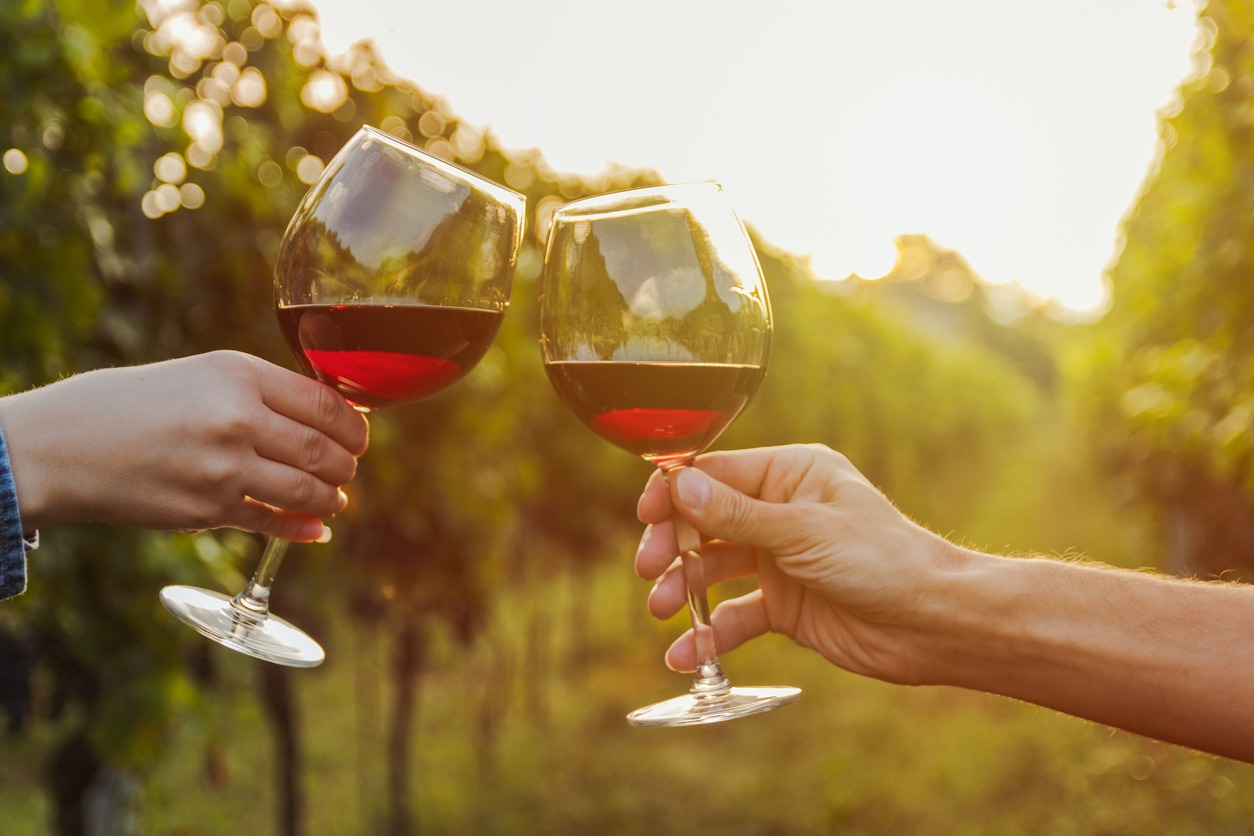 Two hands clinking red wine glass in a vineyard during sunset