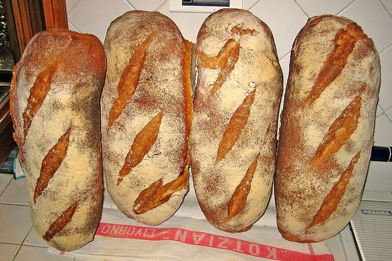 four loaves of Pane toscano sitting upright on a counter