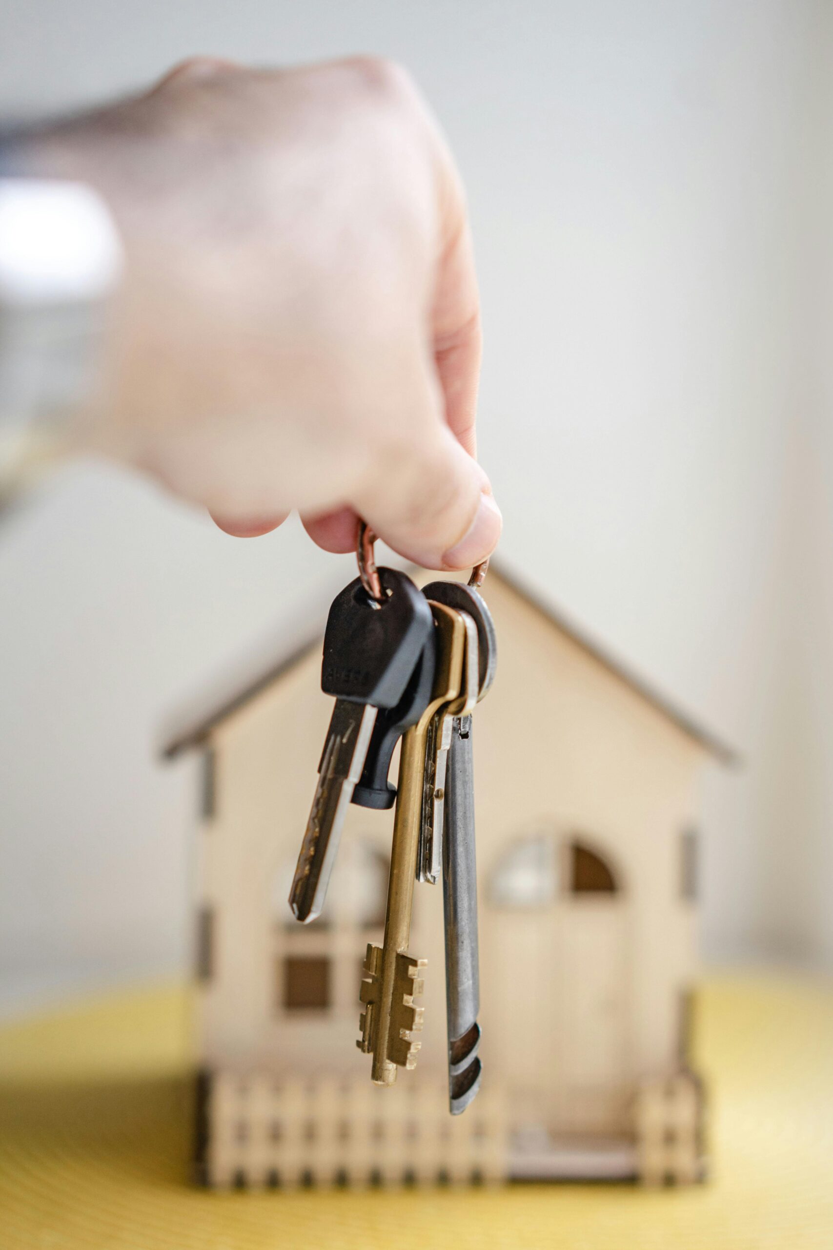 Decoding the Home Buying Process